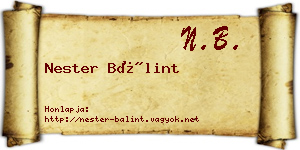 Nester Bálint névjegykártya